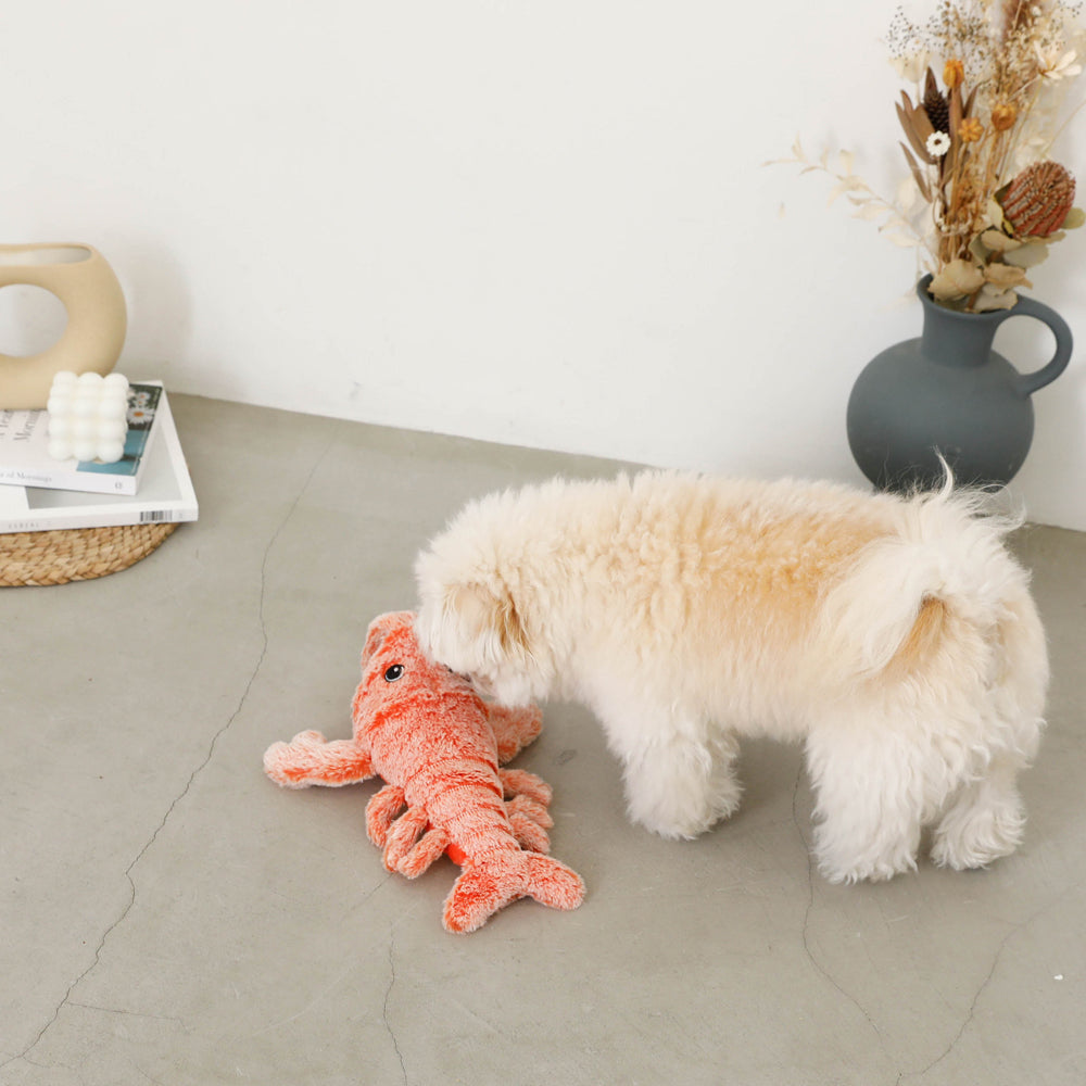 lobster toy usb charging