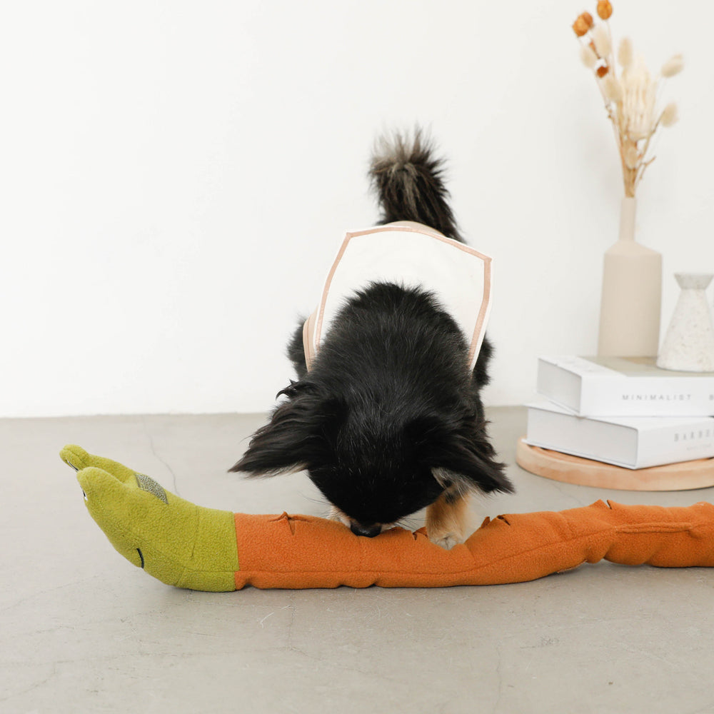 snail nosework toy