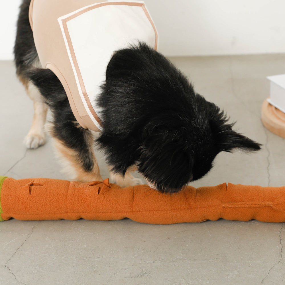 snail nosework toy