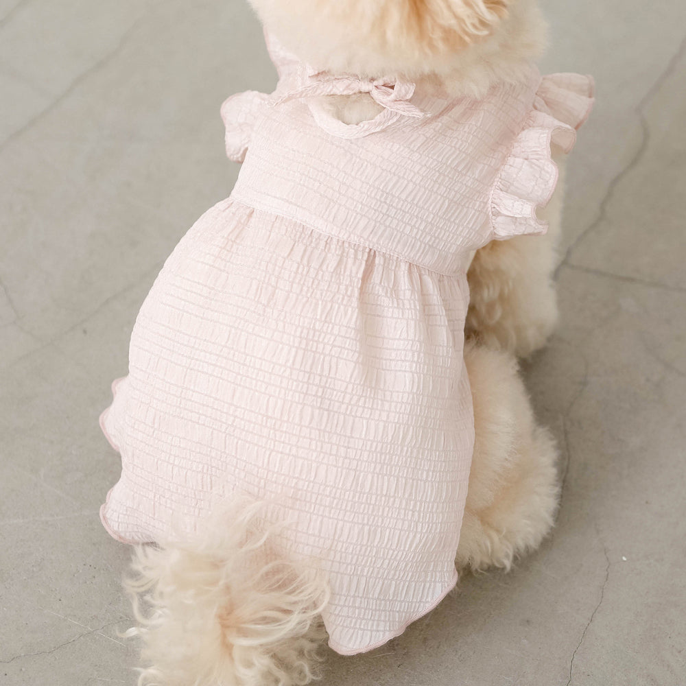 Cool back ribbon frill dress
