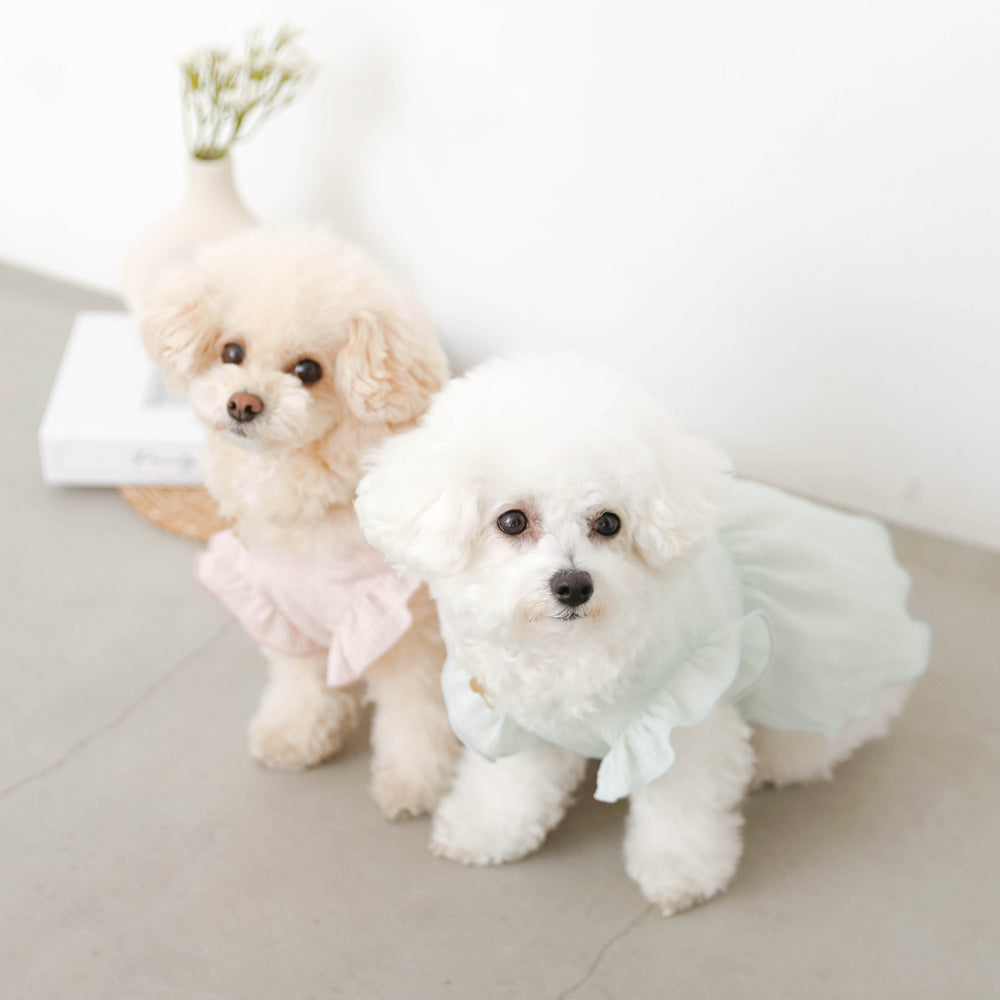 Cool back ribbon frill dress