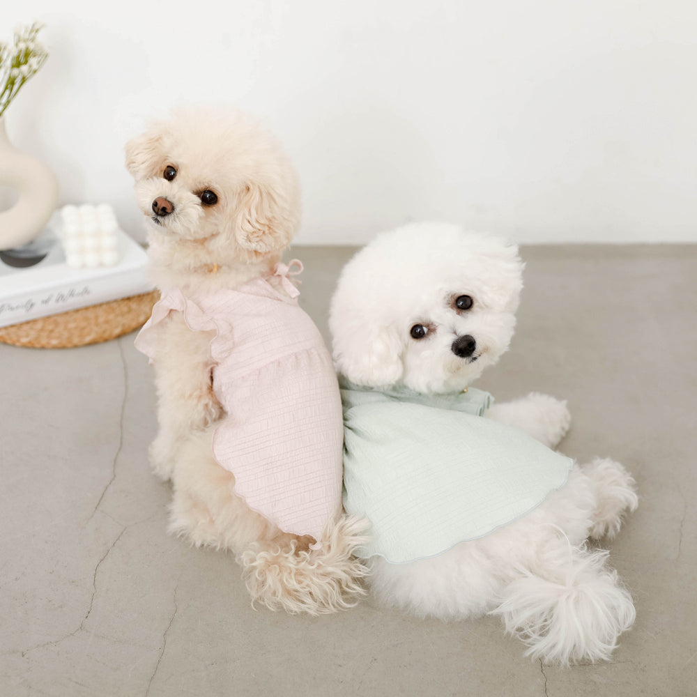 Cool back ribbon frill dress