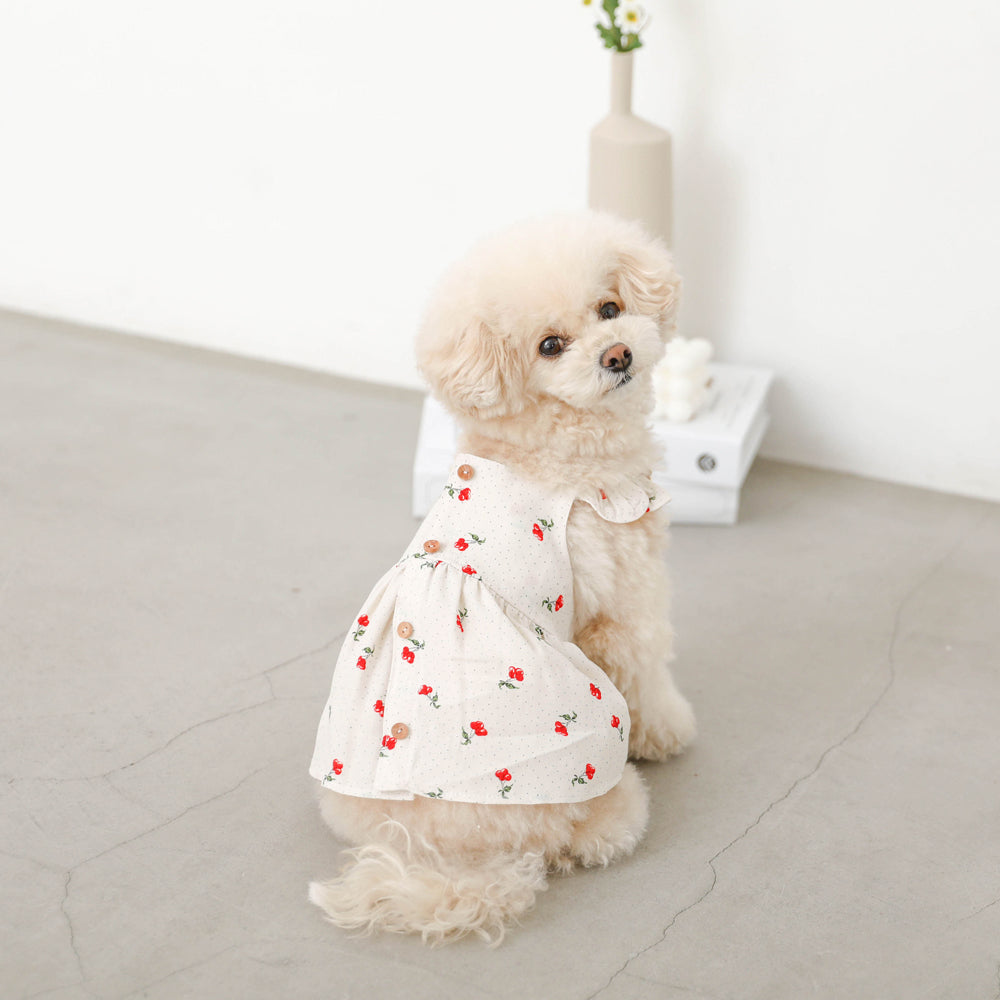 Cool cherry dot frill dress