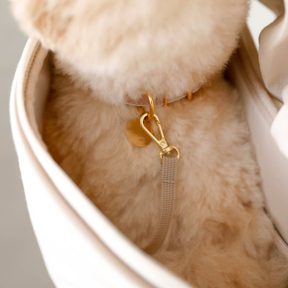 Canvas with mesh x eco leather pet sling [Supports name embroidery]