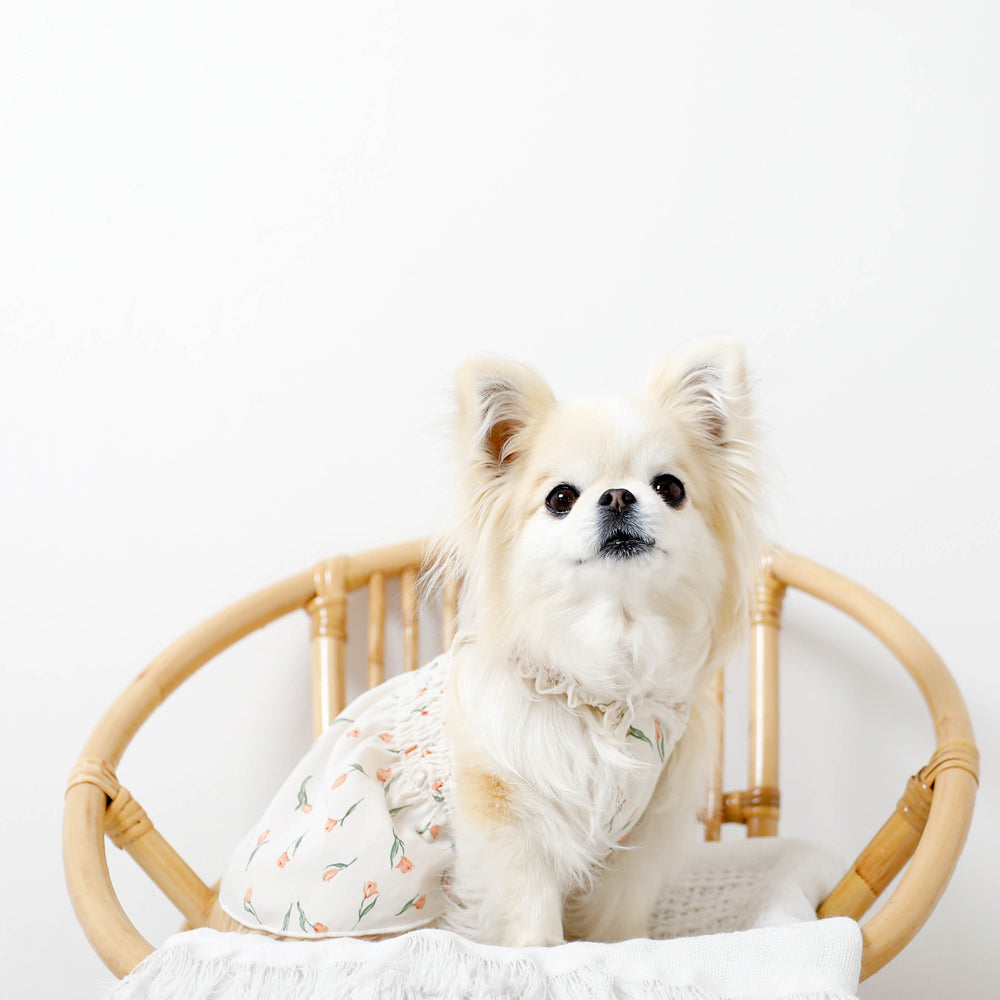Cool tulip pattern gathered shirring dress