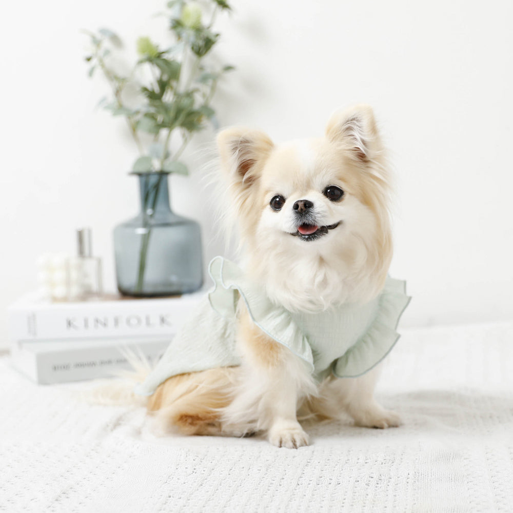 Cool back ribbon frill dress