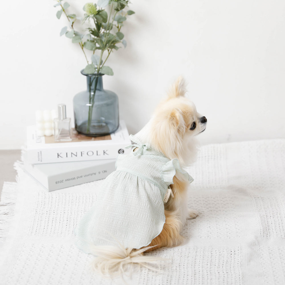 Cool back ribbon frill dress