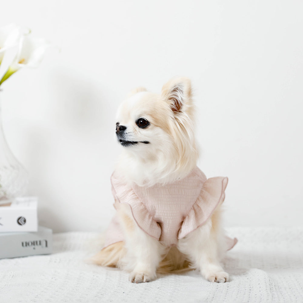 Cool back ribbon frill dress