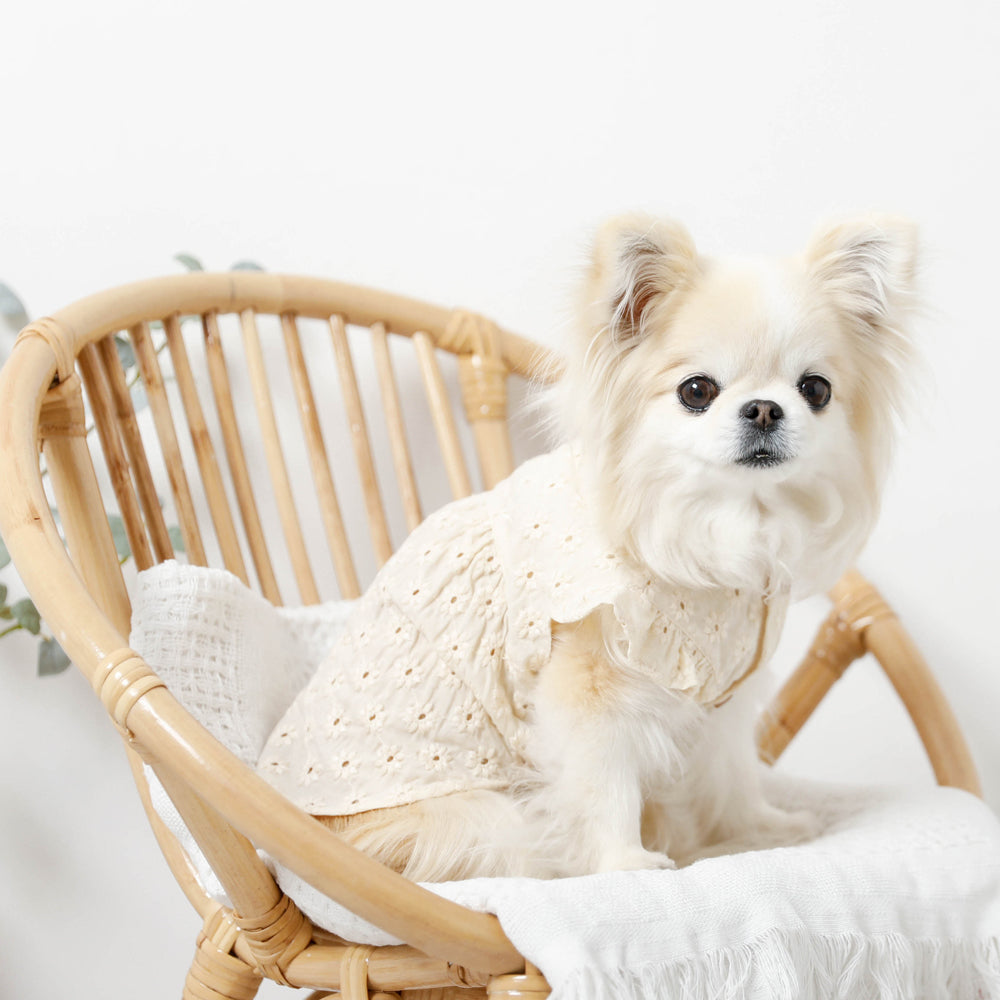 冷感フラワー刺繍ショルダーフリルブラウス