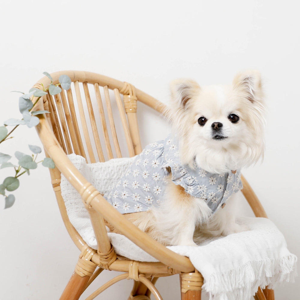 冷感フラワー刺繍ショルダーフリルブラウス