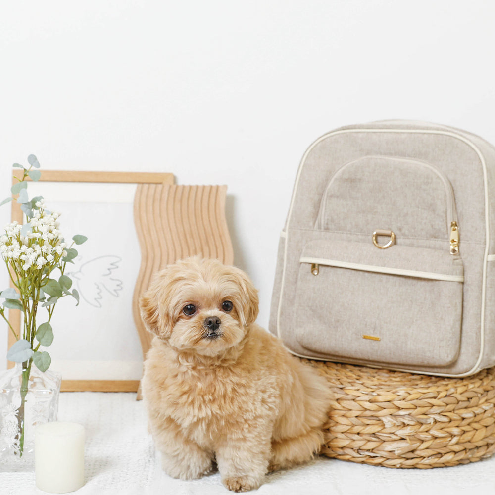 パイピングリュックキャリー