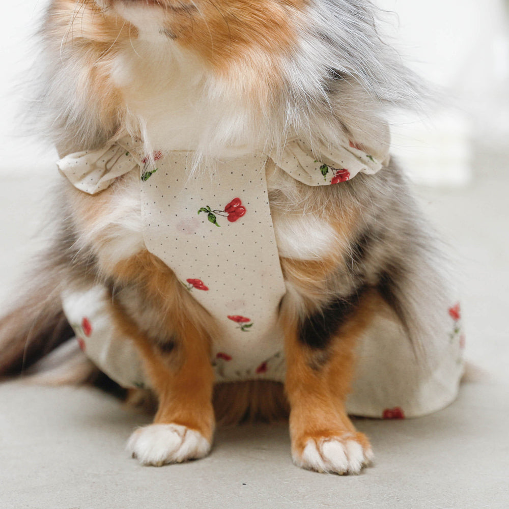 Cool cherry dot frill dress