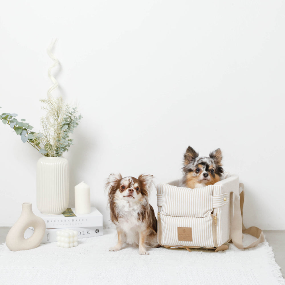 ストライプドライブセンターペットベッド