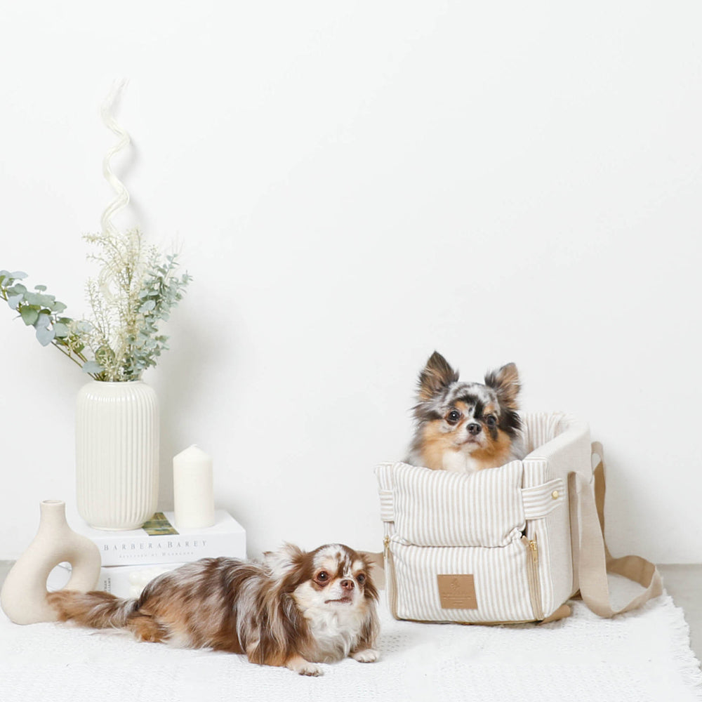 striped drive center pet bed