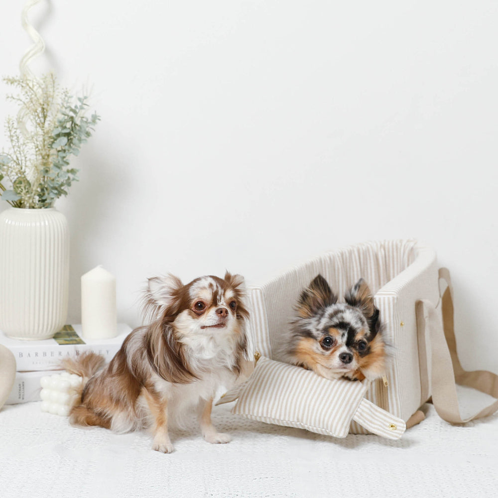 ストライプドライブセンターペットベッド