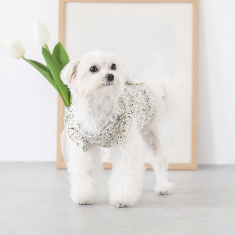 cotton flower ruffle blouse