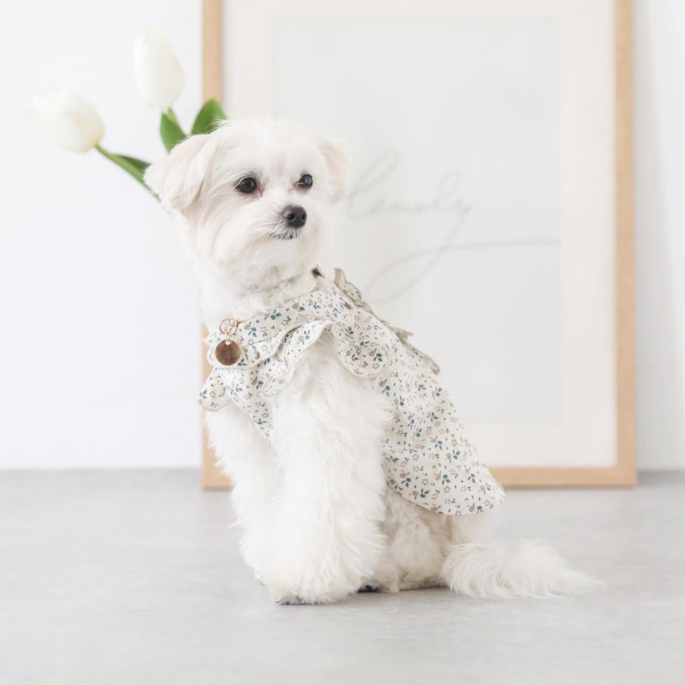 cotton flower ruffle blouse
