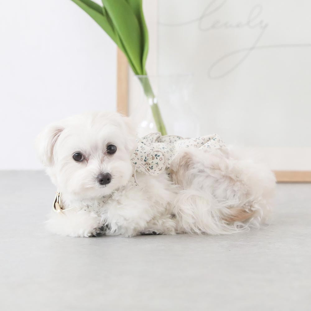 cotton flower ruffle blouse
