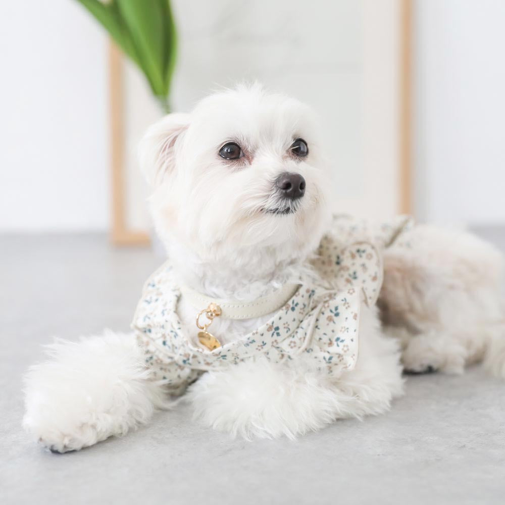 cotton flower ruffle blouse