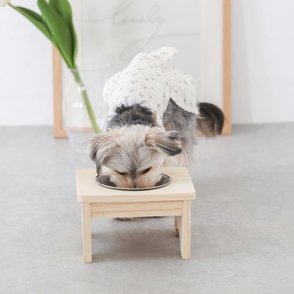 Food bowl stand (wood x stainless steel)
