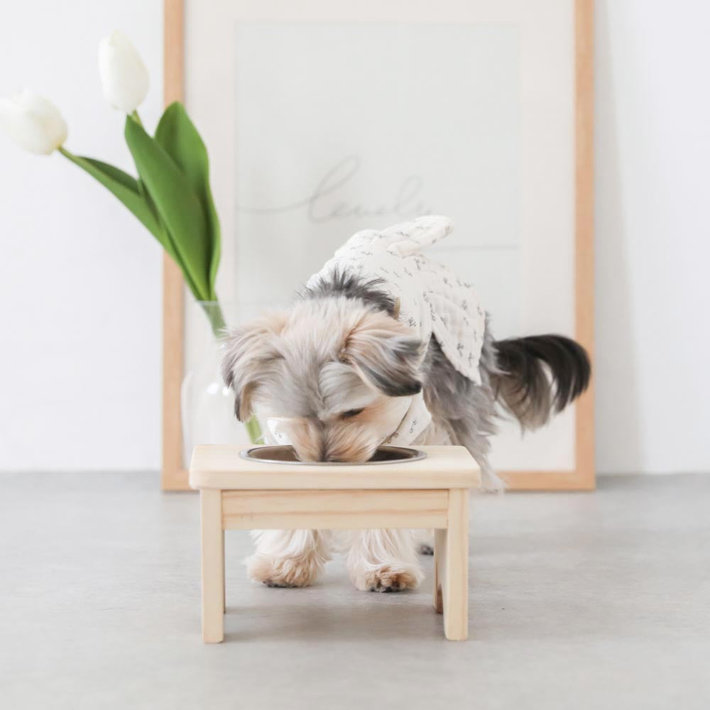 Food bowl stand (wood x stainless steel)