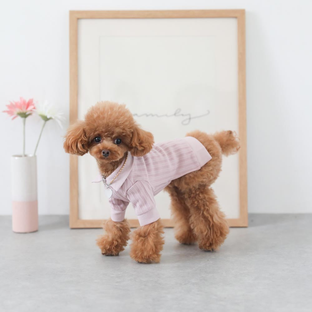 Rib knit tops with collar