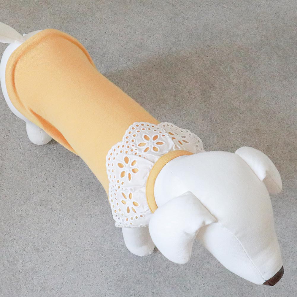 コットンレースカラートップス