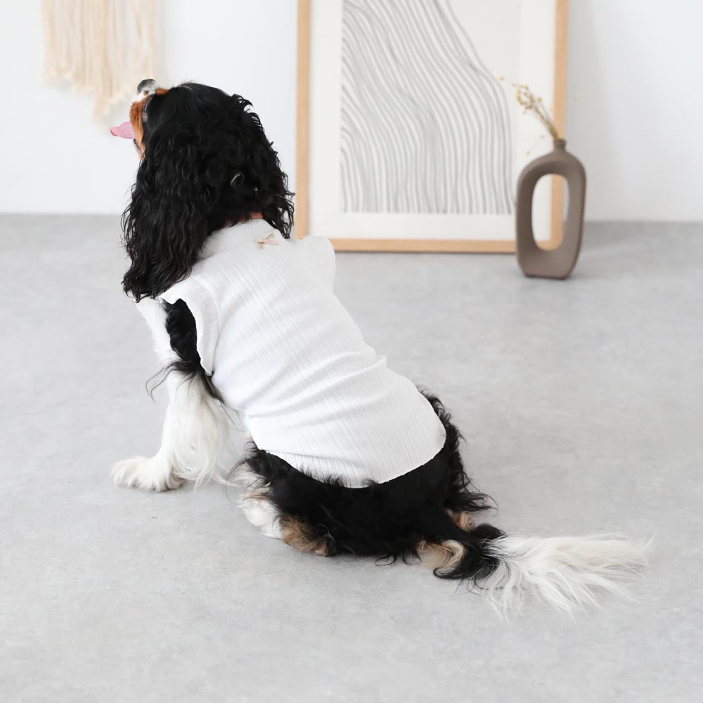 ショートフリルスリーブリボンTシャツ