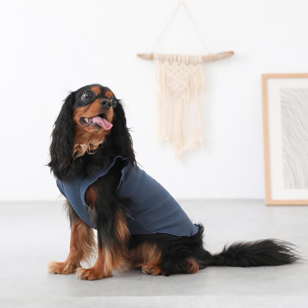 ショートフリルスリーブリボンTシャツ