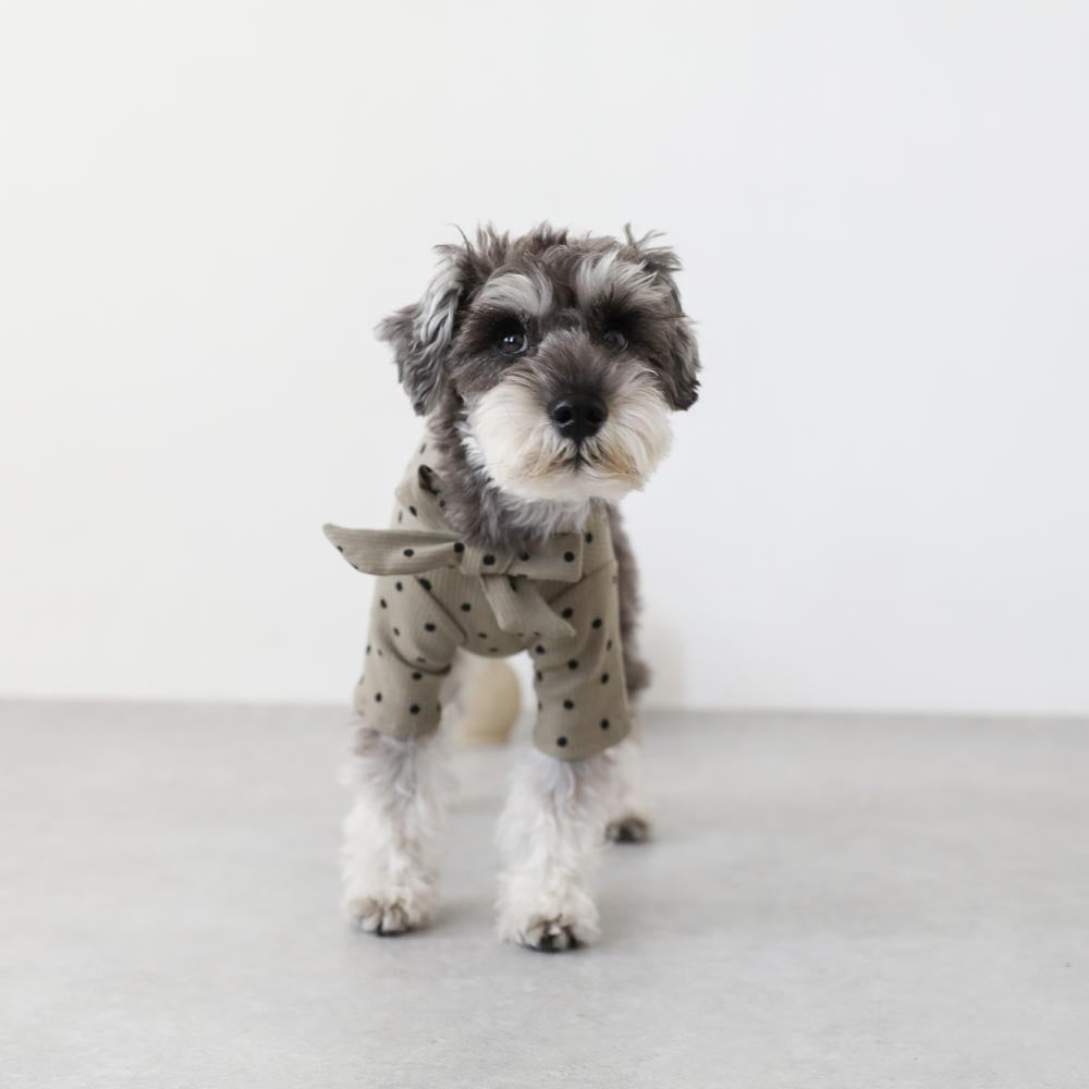 ネックリボンドットトップス