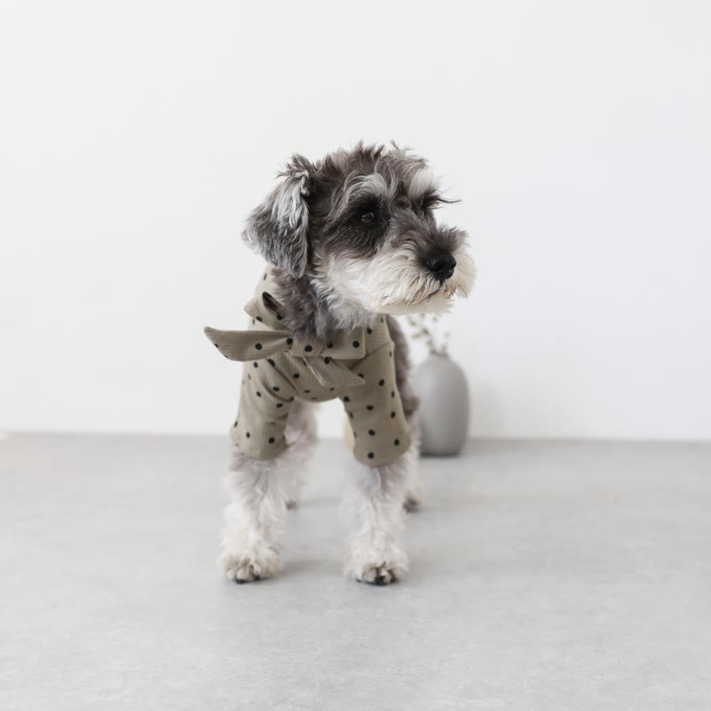 ネックリボンドットトップス