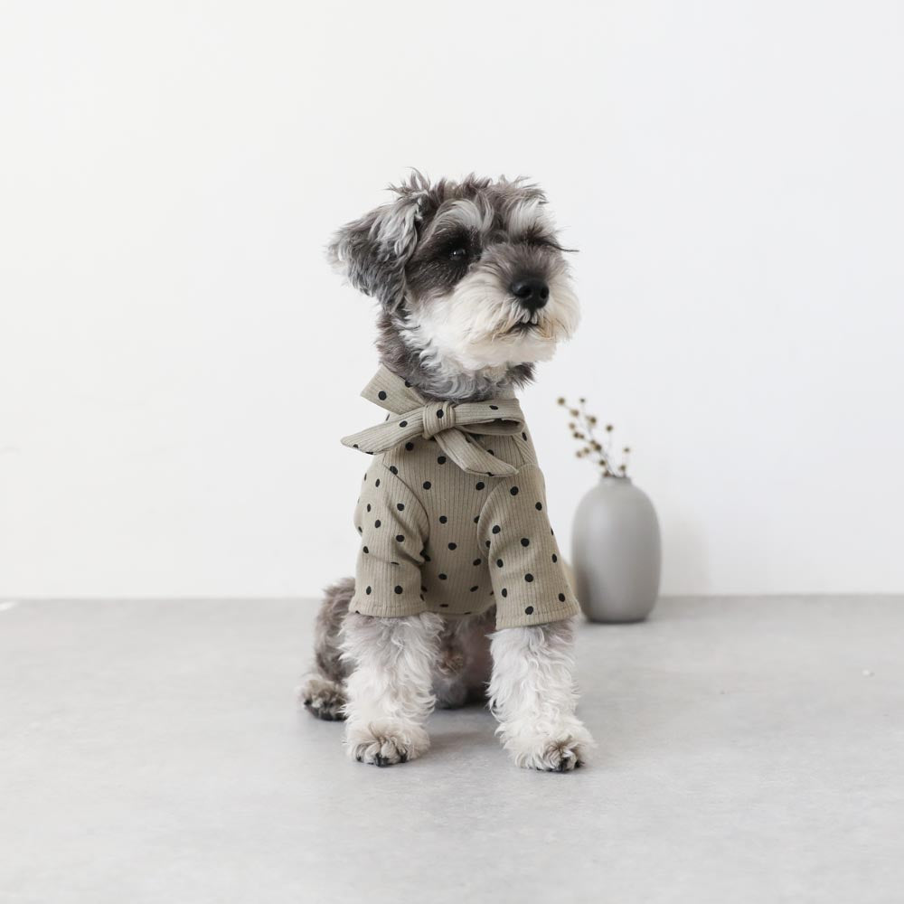 ネックリボンドットトップス