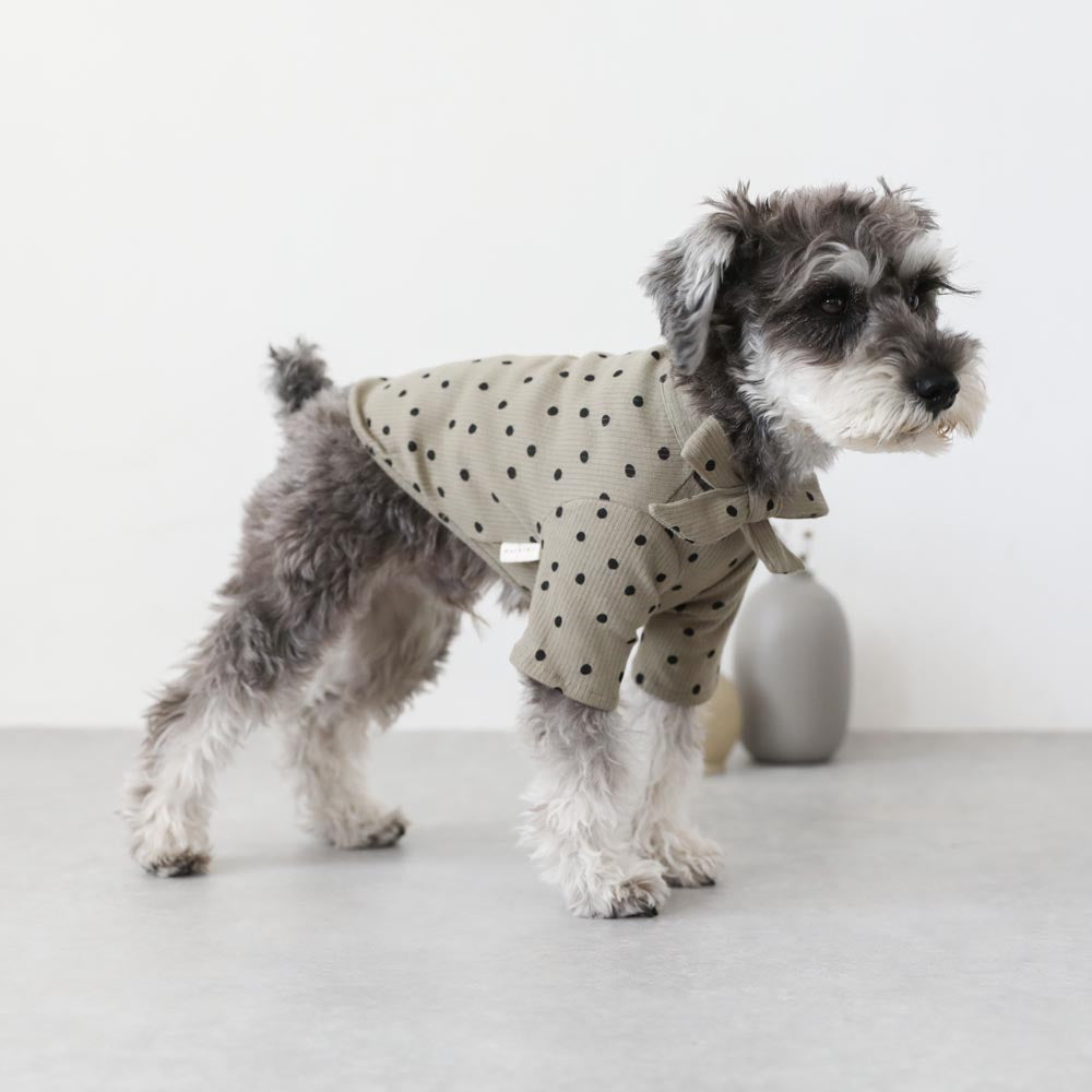 ネックリボンドットトップス