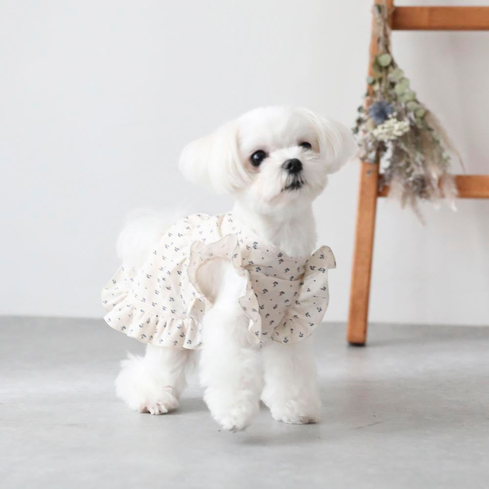flower frill dress