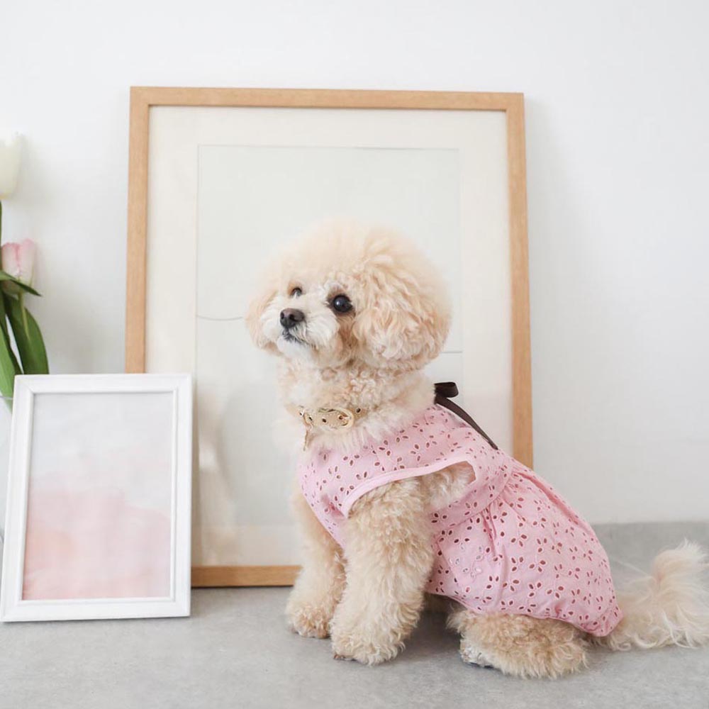 カットワークリボンブラウス