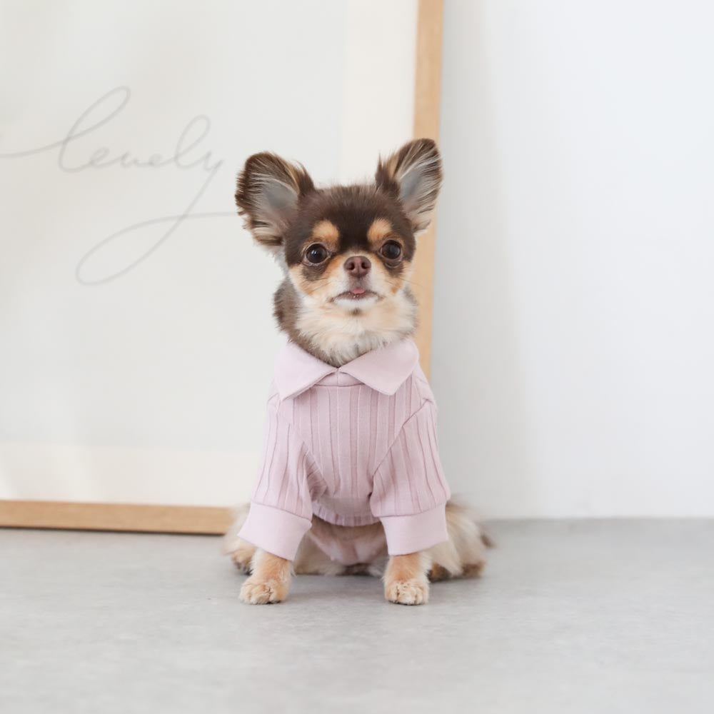 Rib knit tops with collar