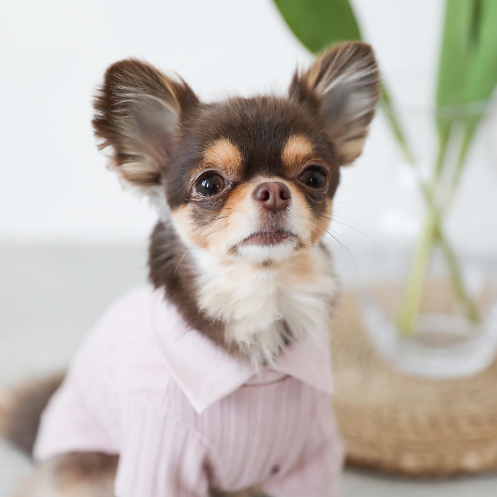 Rib knit tops with collar