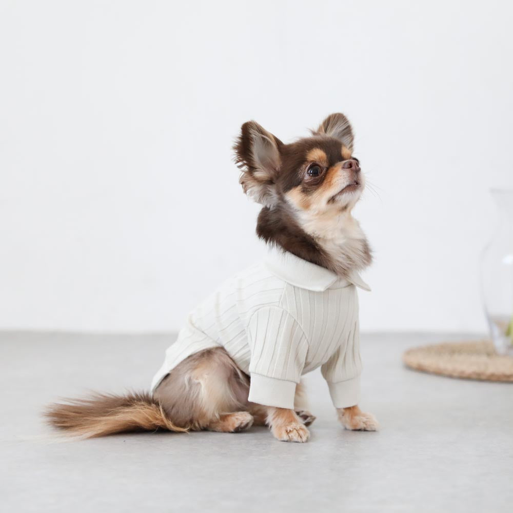Rib knit tops with collar