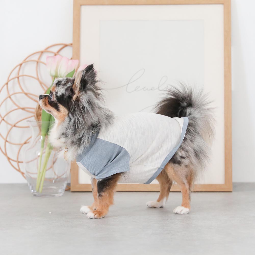 カラーラグランTシャツ