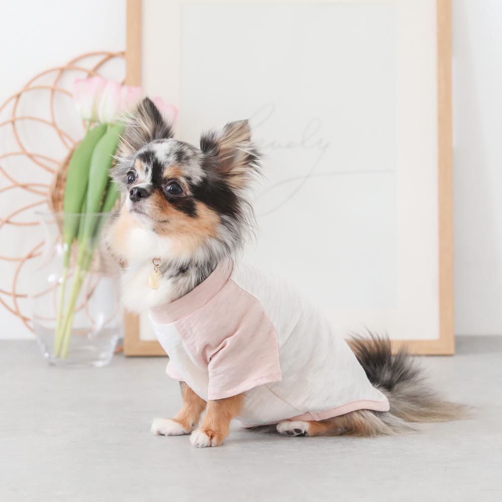 カラーラグランTシャツ