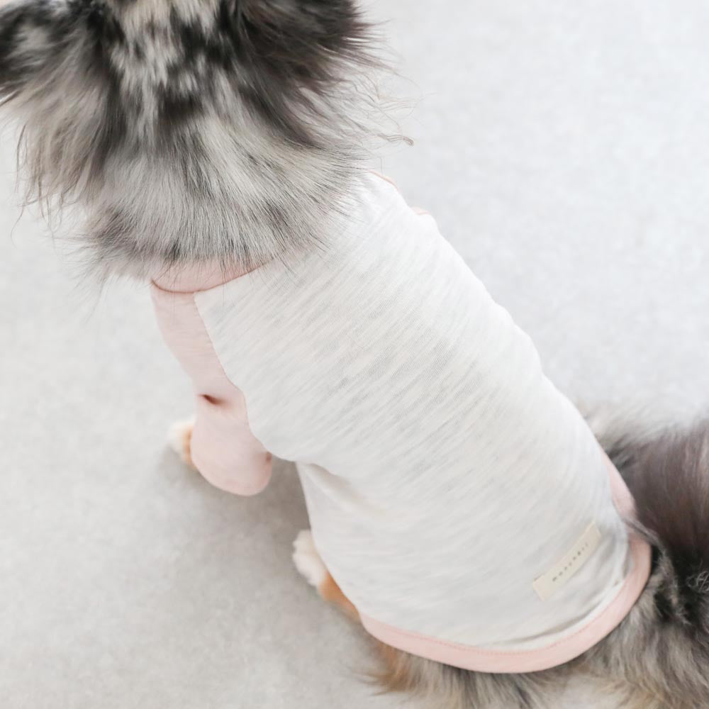 カラーラグランTシャツ