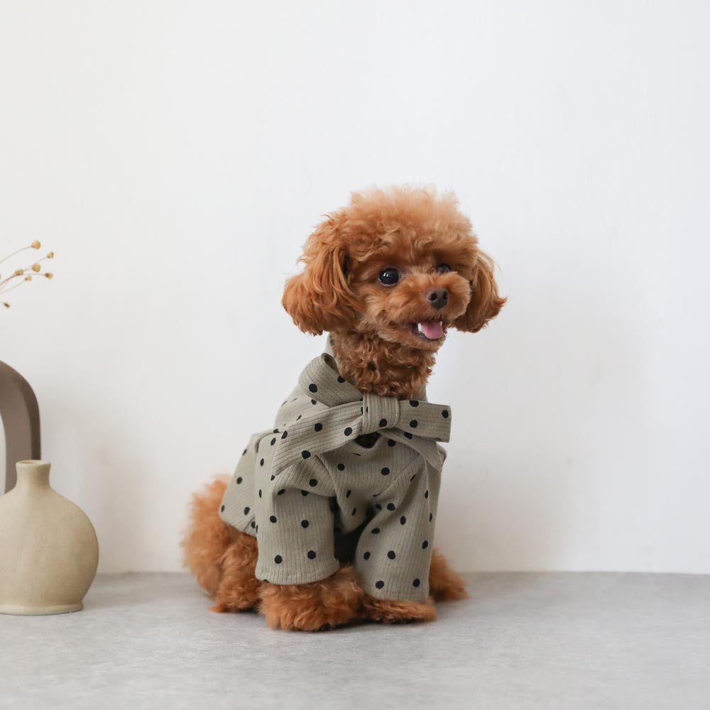 ネックリボンドットトップス