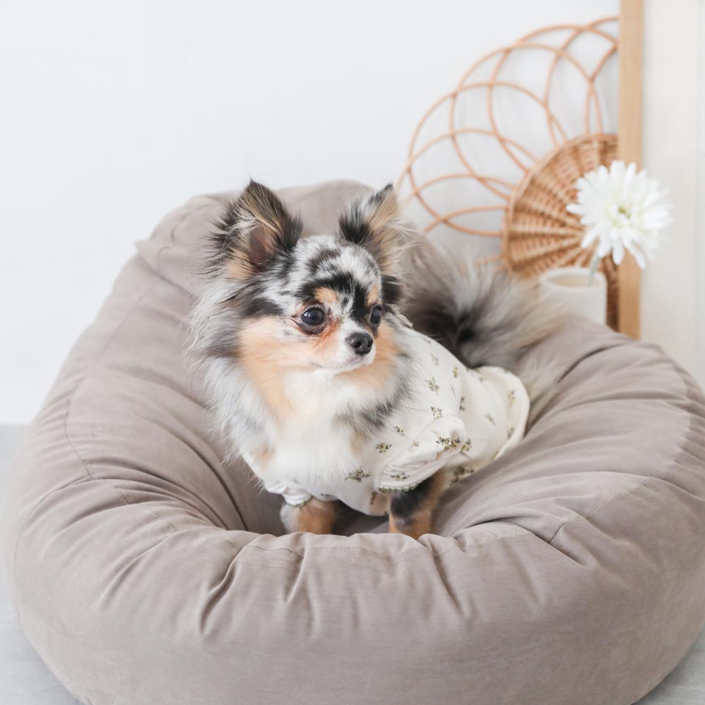 soft cushion bed