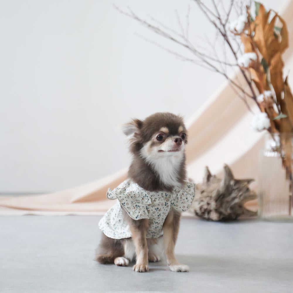 cotton flower ruffle blouse