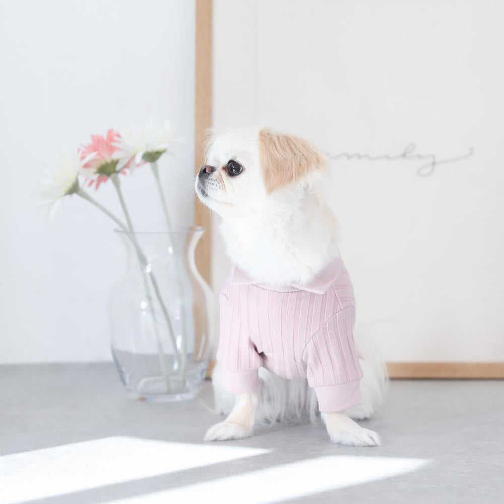 Rib knit tops with collar