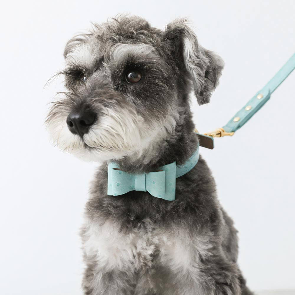 Uena ネイビー スクエアネック リボン カットソー 犬柄 ショート丈 オーストレザーリボンカラー【名入れ彫刻対応】