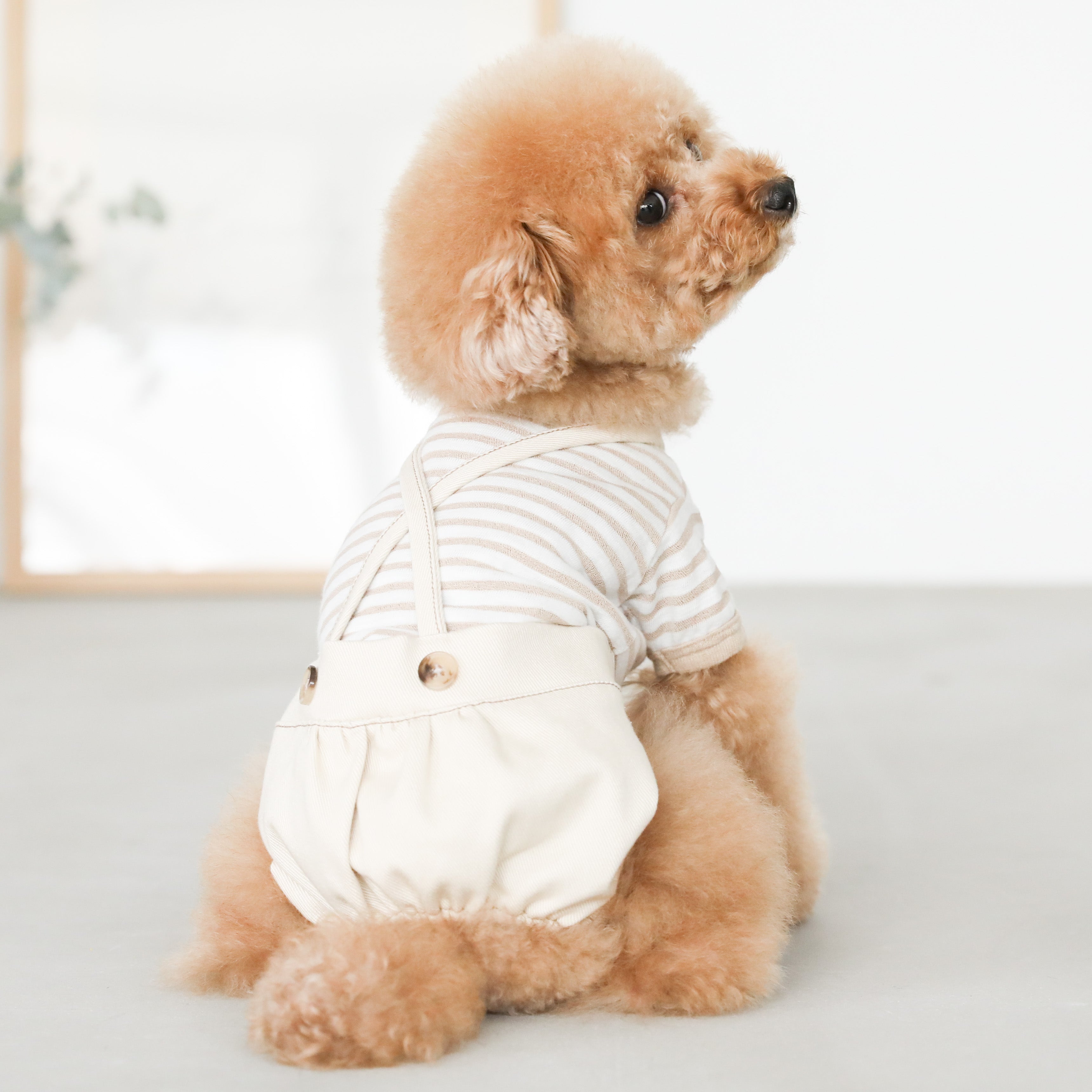 バッククロスコットンかぼちゃパンツ