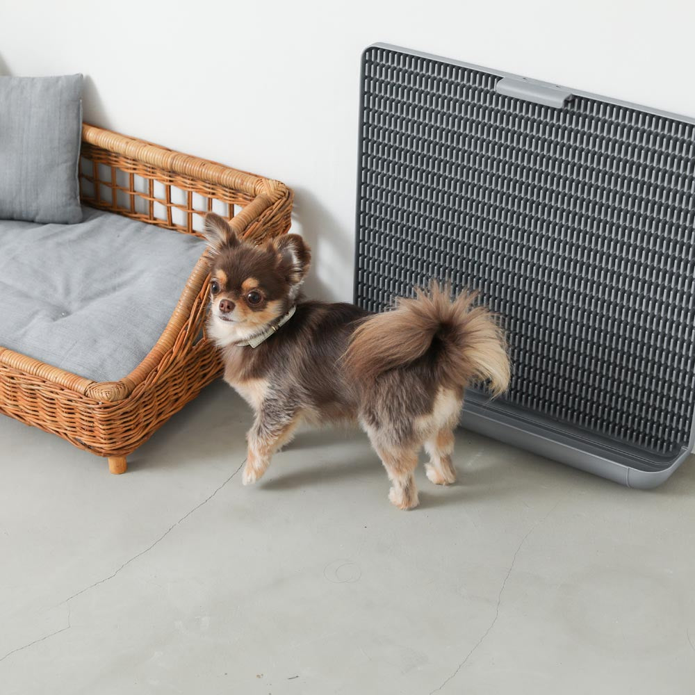 Non-seat eco pet toilet