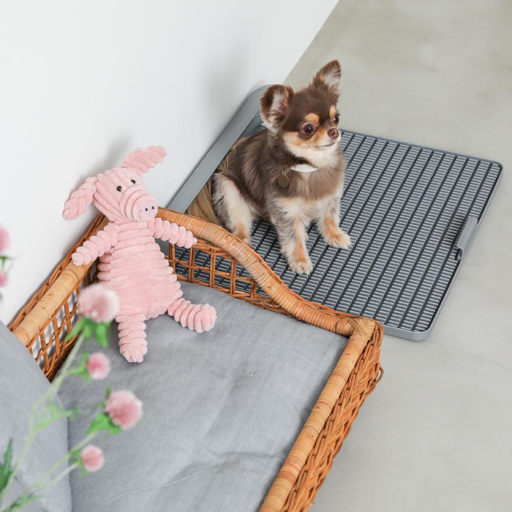 Non-seat eco pet toilet