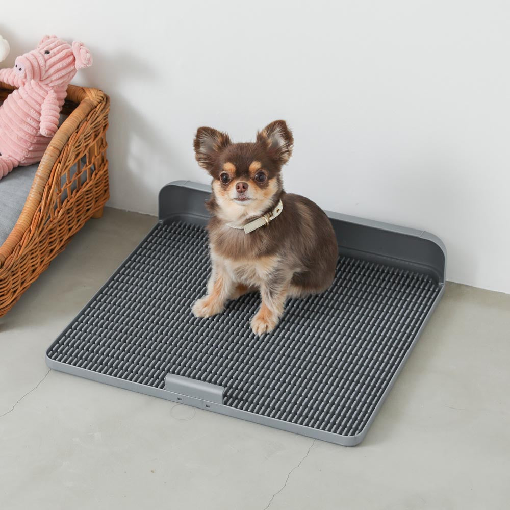 Non-seat eco pet toilet